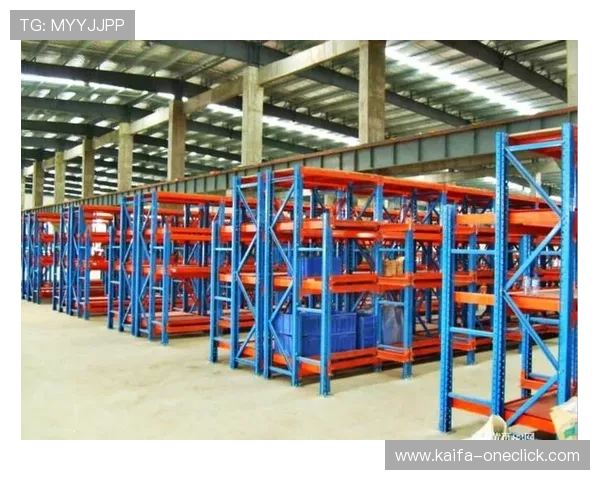 凯发国际平台首页网址官方入口2024年最新更新版本全面解析